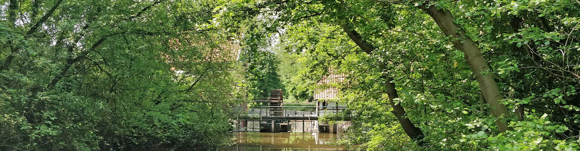 Freibad Hiesfeld - Umgebung
