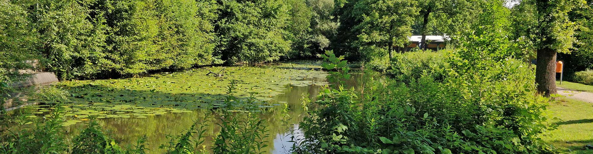 Freibad Hiesfeld - Umgebung